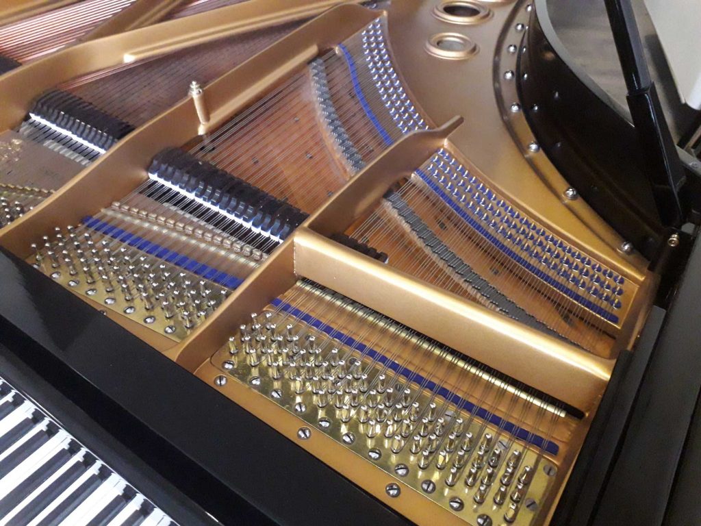 Tavola armonica, martelli e corde del pianoforte a coda Bluthner in vendita a Milano